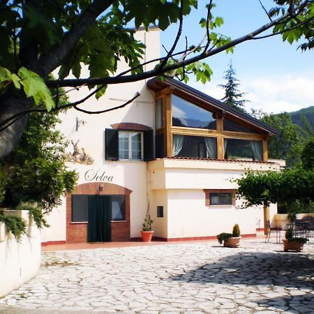Agriturismo La Selva 리에티 외부 사진